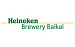 Heineken - Baikal brewery